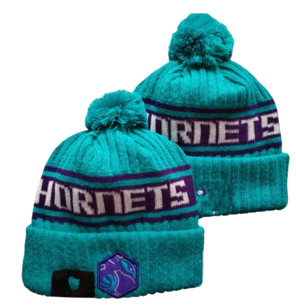 Баскетбольная шапка Charlotte Hornets Blue Purple