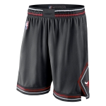 Баскетбольные шорты Nike Chicago Bulls NBA